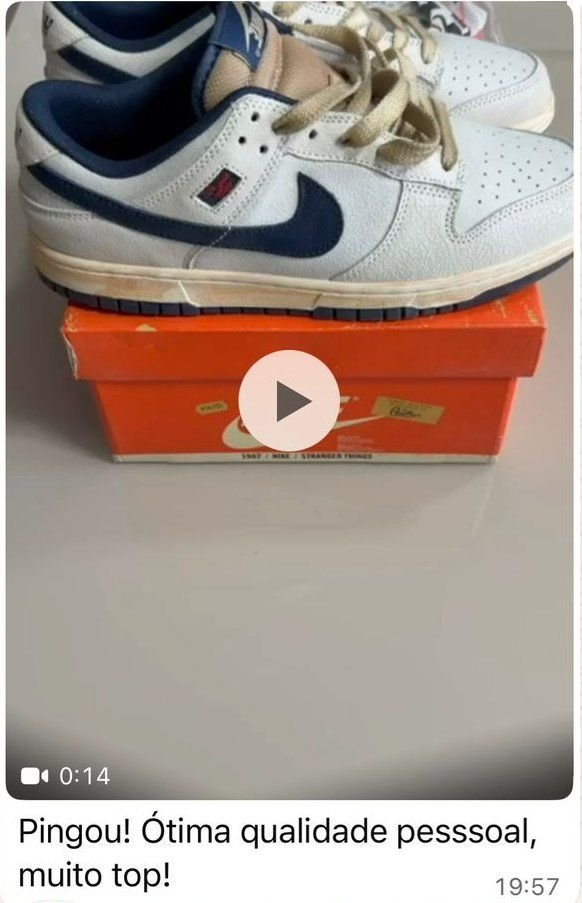 Print de WhatsApp: tênis Nike Dunk recebido, cliente elogia a qualidade